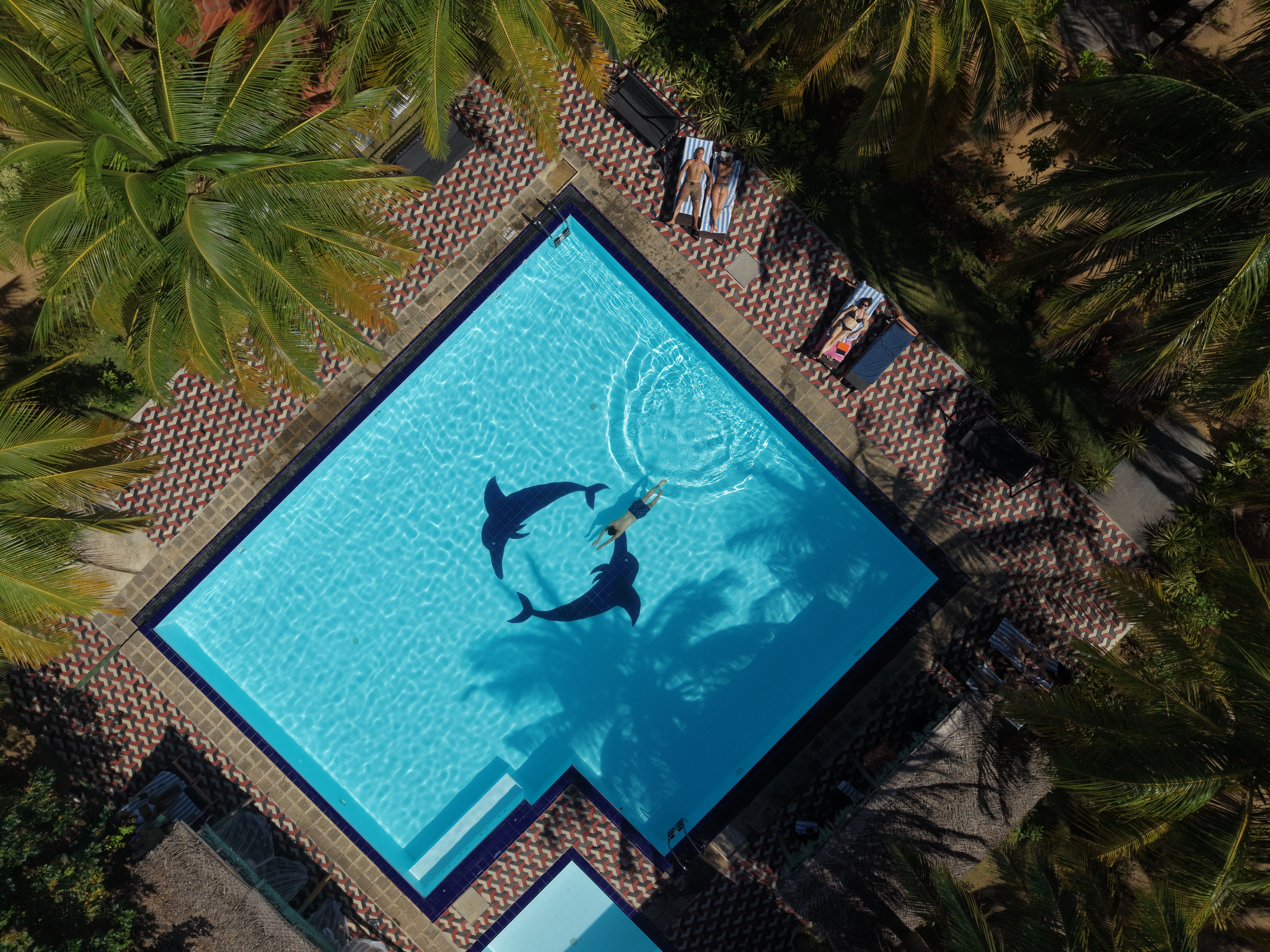 Accommodation at De Silva Palm Resort